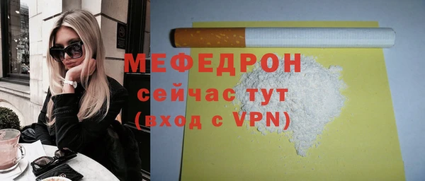 индика Гусиноозёрск
