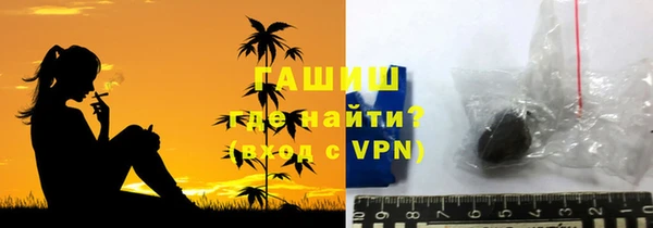 индика Гусиноозёрск