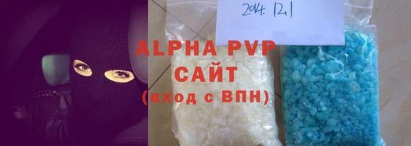 индика Гусиноозёрск
