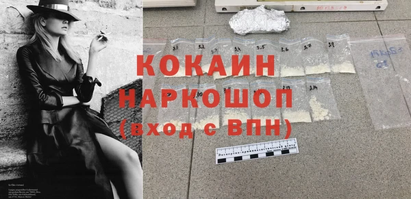 индика Гусиноозёрск