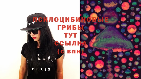 марки lsd Горняк