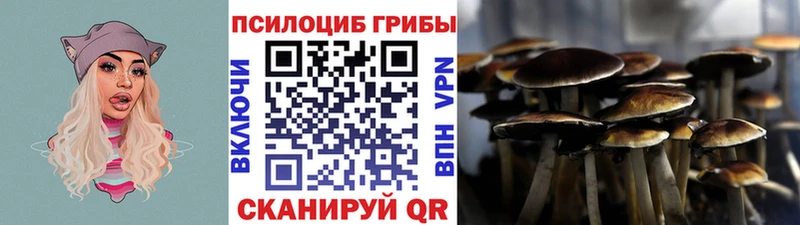закладка  Рубцовск  Галлюциногенные грибы MAGIC MUSHROOMS 